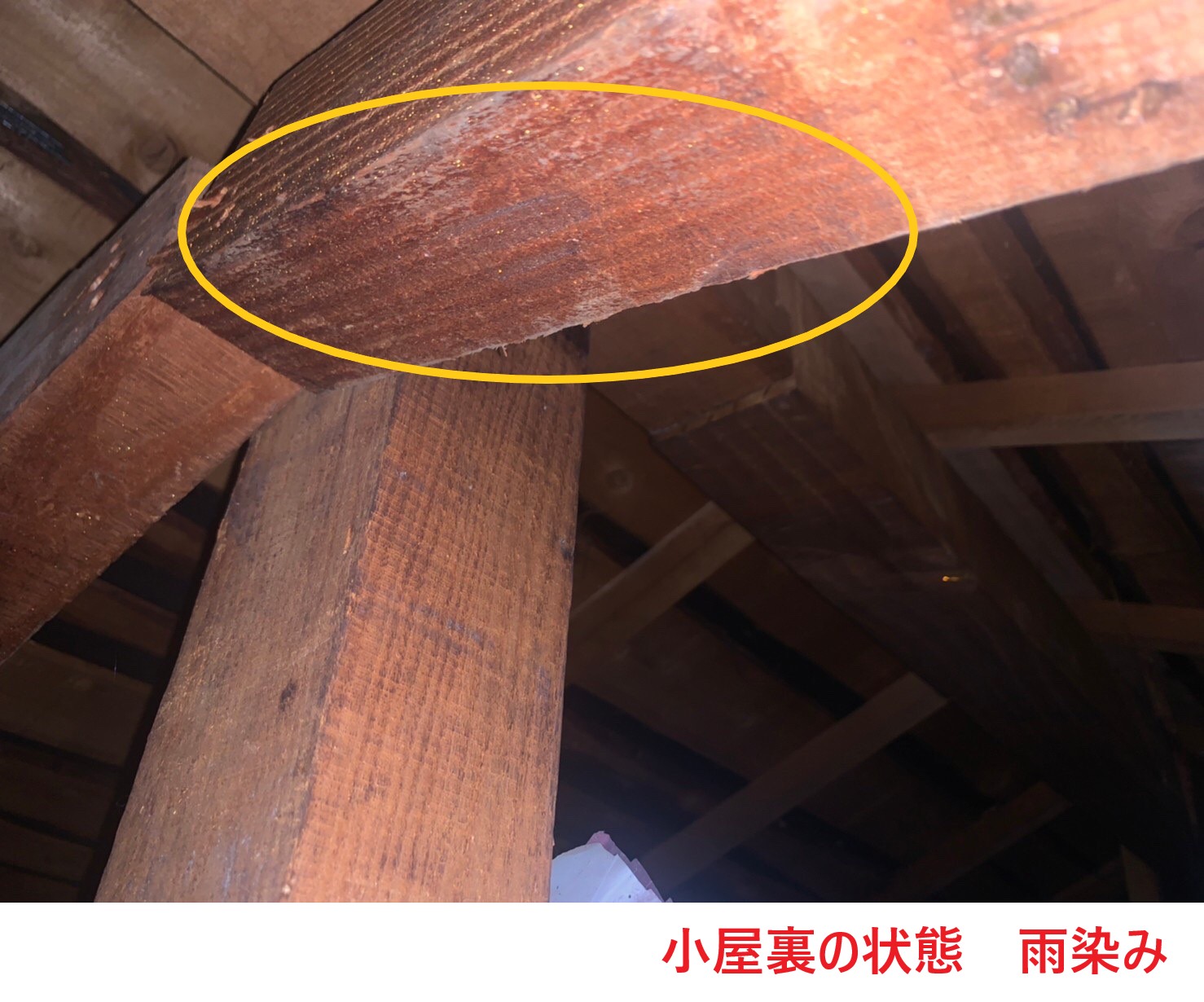 小屋裏の状態　雨染み